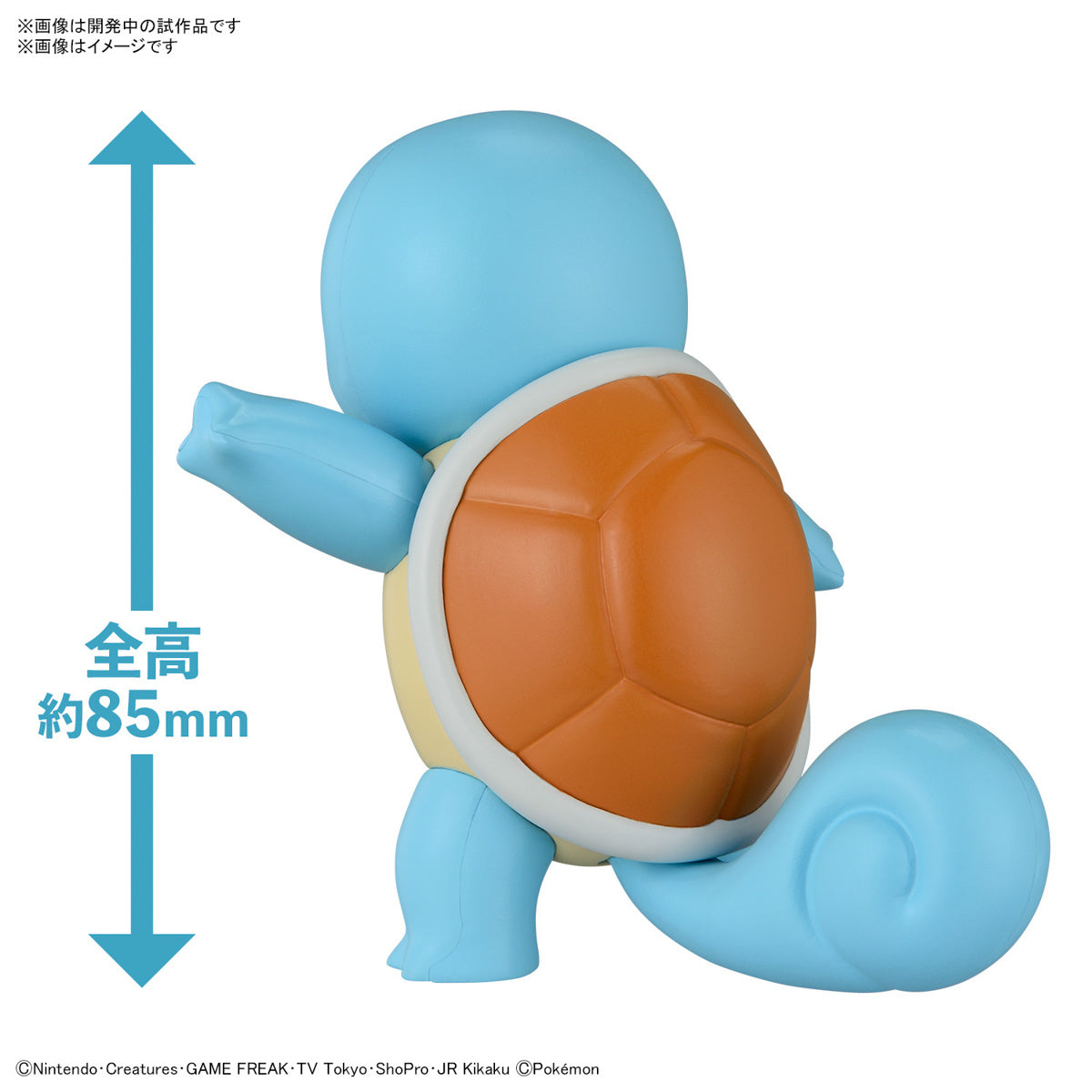 POKEMON - MODEL KIT QUICK!! - 17 SQUIRTLE