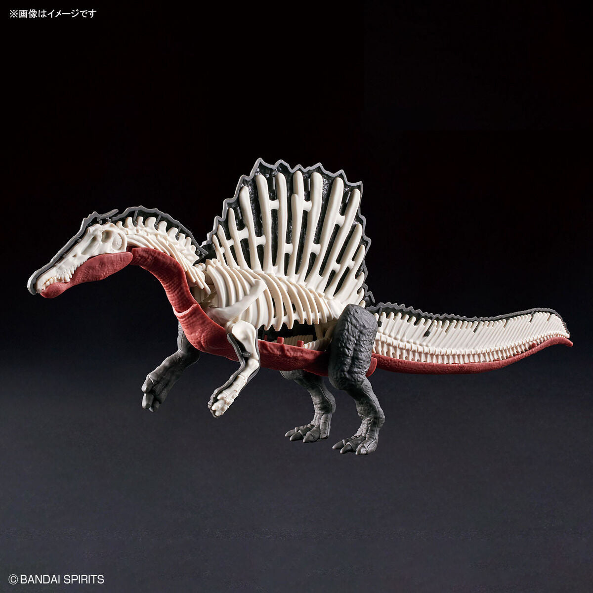 Plannosaurus - Hobby Kit - Spinosaurus