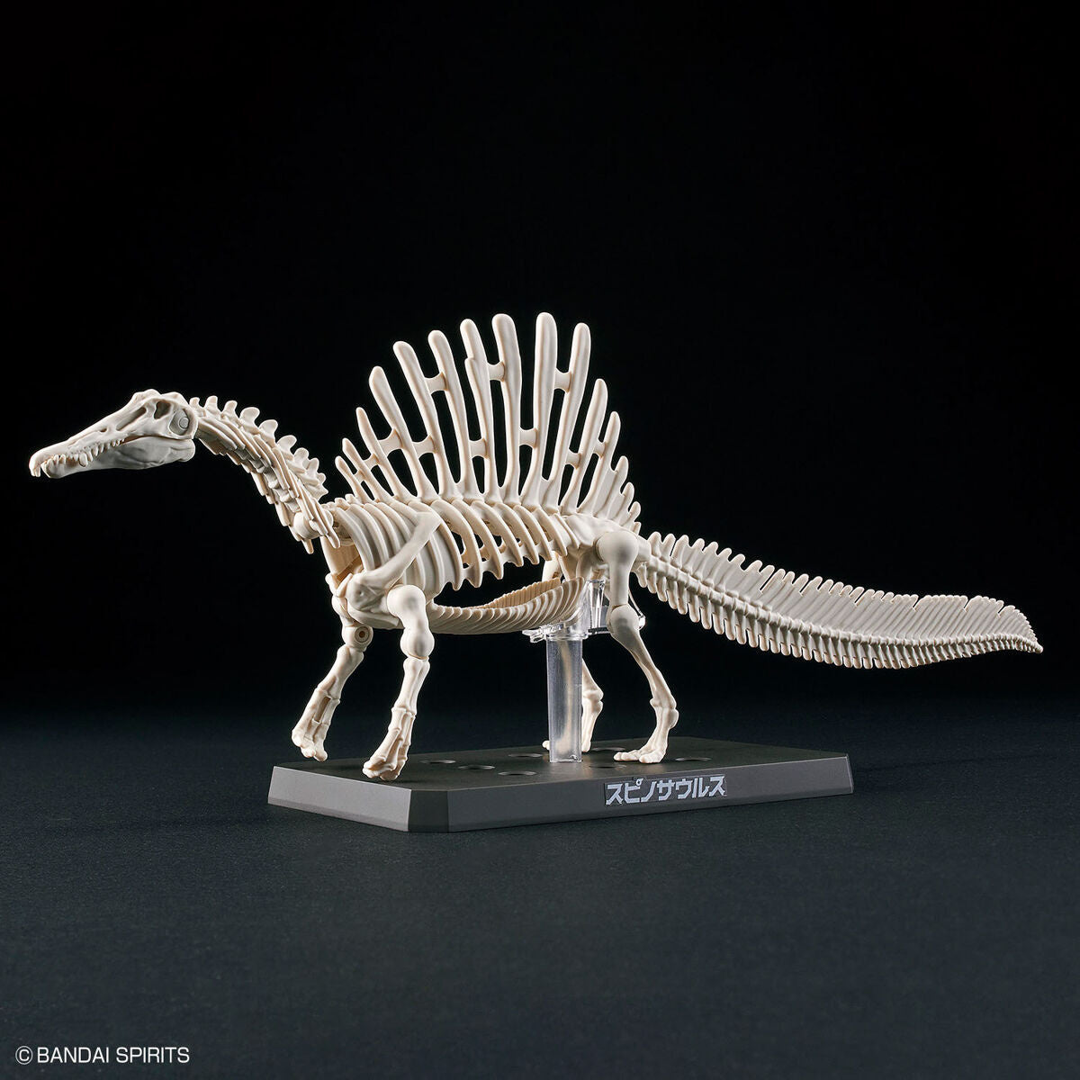 Plannosaurus - Hobby Kit - Spinosaurus