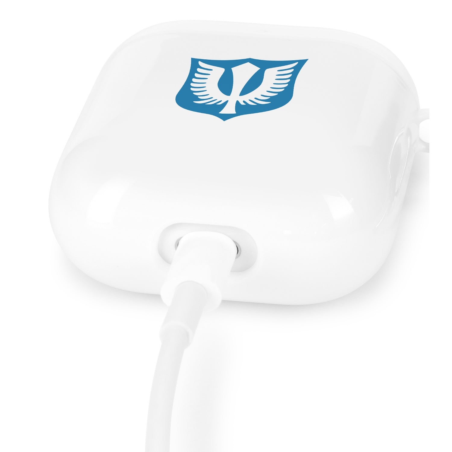 Berserk: Old Band of the Falcon AirPods Case (Compatible Models / AirPods Pro)